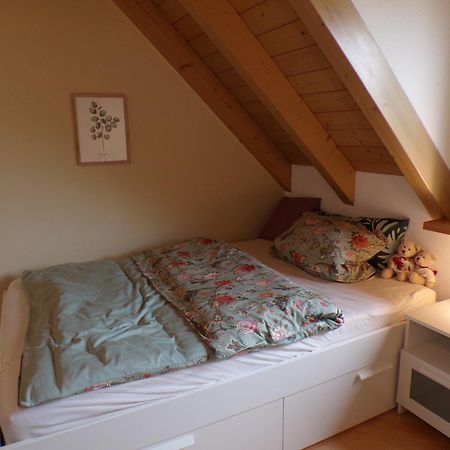 Mondfaenger Ferienwohnung , Naehe Playmobil Funpark Und Messezentrum Wilhermsdorf  Buitenkant foto